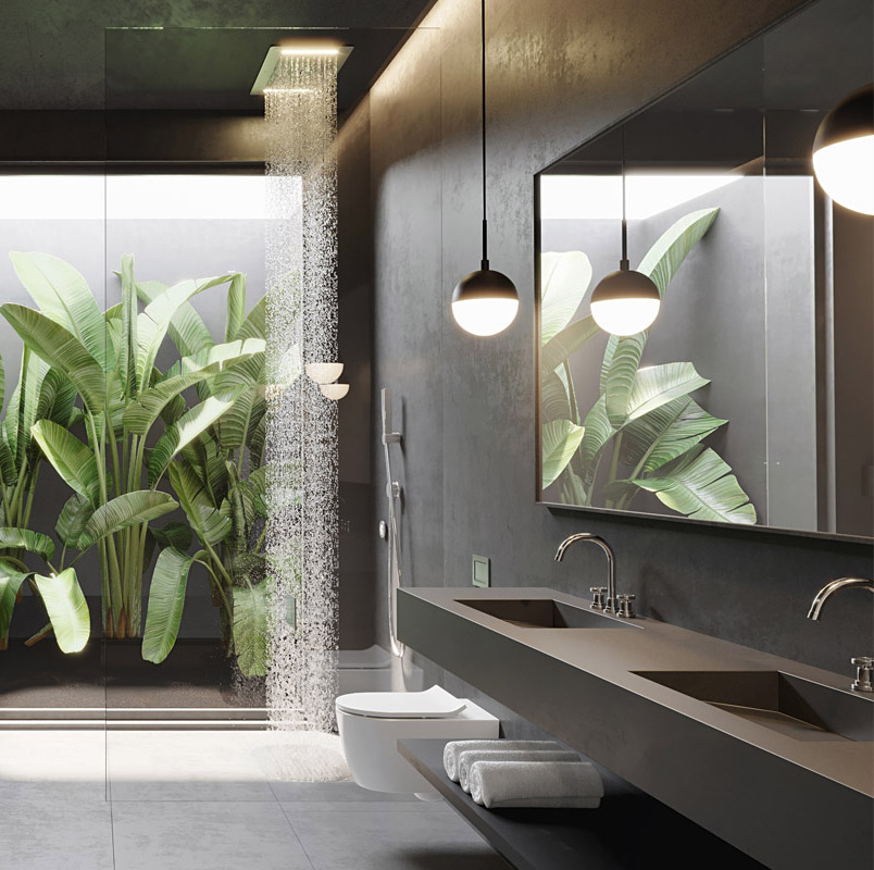 Plants in the bathroom